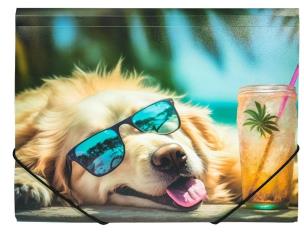 Opakowanie Teczka A4 PP z nadrukiem Chillout Dog