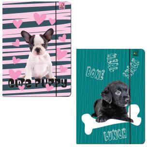 Teczka A4 z gumką Best Friend Psy. Wydawca: Bee-bee. Multiszop.pl Opakowanie Teczka A4 z gumką Best Friend Psy