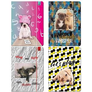 Opakowanie Teczka A4 z gumką Best Friend zwierzaki mix