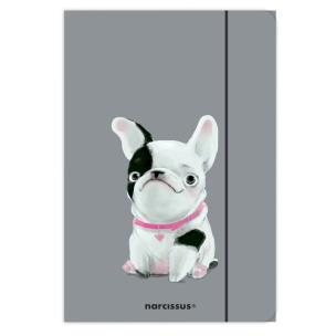 Opakowanie Teczka A4 z gumką FUN Pies 10 sztuk