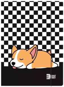 Opakowanie Teczka A4 z gumką Sleepy Corgi paczka 10 szt.