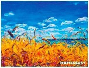 Opakowanie Teczka kopertowa PP A6 Niebo