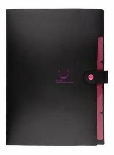 Opakowanie Teczka plastikowa A4 z 5 przegródkami czarna