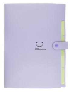 Opakowanie Teczka plastikowa A4 z 5 przegródkami fioletowa