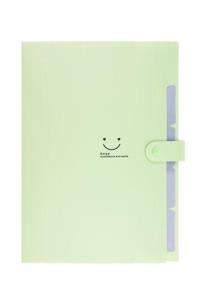 Opakowanie Teczka plastikowa A4 z 5 przegródkami zielona