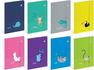 Opakowanie Teczka z gumką A4+ BB Kids Tropic (10szt)