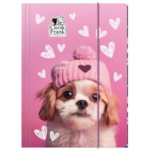 Opakowanie Teczka z gumką A4 Cleo i Frank 42 (Pies) DERFORM