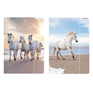 Opakowanie Teczka z gumką A4 Horses 10 sztuk