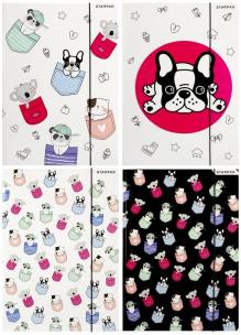 Opakowanie Teczka z gumką A4 Minisy