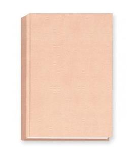 Opakowanie Terminarz 2024 A5 dzienny - wkładka złocona