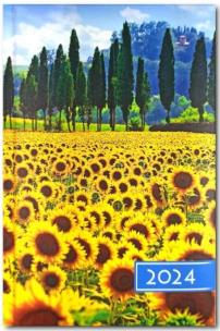 Opakowanie Terminarz 2024 B6 dzienny - słoneczki