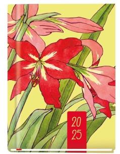 Opakowanie Terminarz 2025 B6 Marta