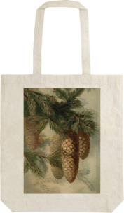 Opakowanie Torba bawełniana STBAG 56 Szyszki jodły