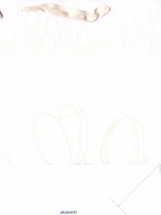 Opakowanie Torba TO-3 okolicznościowa MIX AVANTI