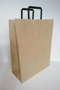 Opakowanie Torebka gładka KRAFT 320x420x150 FRESH