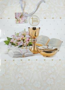 Okładka książki TOREBKA MAXI 003-PAN DRAGON