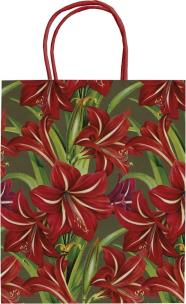 Opakowanie Torebka ozdobna A5 STBAG147 Gwiazda betlejemska