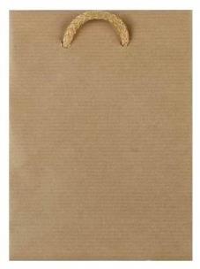 Opakowanie Torebka papierowa eko max