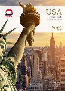 USA. Autor: Paluch Paweł. Multiszop.pl Okładka książki USA