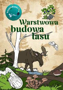 Warstwowa budowa lasu. Kolorowanka. Autor: Katarzyna Kopiec-Sekieta. Multiszop.pl Okładka książki Warstwowa budowa lasu. Kolorowanka