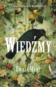 Wiedźmy. Autor: Emilia Hart, Grażyna Woźniak. Multiszop.pl Okładka książki Wiedźmy