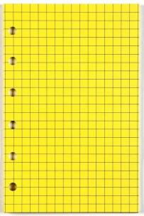 Opakowanie Wkład do organizera A5/kratka żółta ANTRA