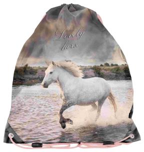 Opakowanie Worek na buty Horse PP22HR-712 PASO