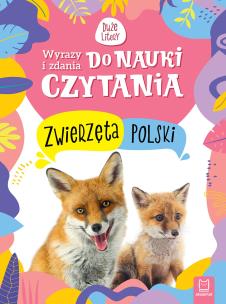 Okładka książki Wyrazy i zdania do nauki czytania. Duże litery