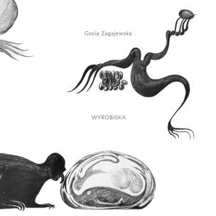 Okładka książki Wyrobiska