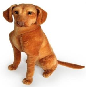 Opakowanie Wyżeł węgierski 44cm