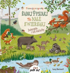 Żabki i psiaki Te małe zwierzaki. Autor: Schumann Sibylle. Multiszop.pl Okładka książki Żabki i psiaki Te małe zwierzaki