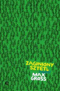 Zaginiony sztetl. Autor: Max Gross. Multiszop.pl Okładka książki Zaginiony sztetl