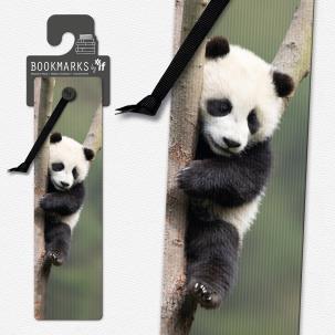 Opakowanie Zakładka 3D 15405 - Panda