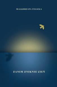 Okładka książki Zanim zniknie cień