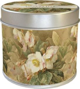 Opakowanie Zapachowa świeczka 203 - ciemiernik zapach jabłko