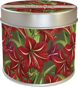 Opakowanie Zapachowa świeczka jabłko Święta Bożego Narodzenia