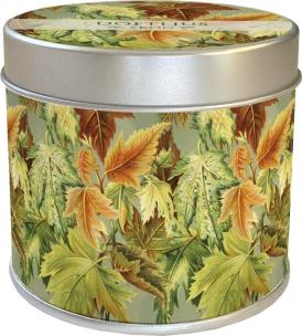 Opakowanie Zapachowa świeczka jesienne liście - zapach leśny