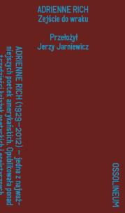 Okładka książki Zejście do wraku