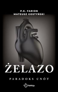 Żelazo. Paradoks cnót. Tom 2. Autor: Farion P.K., Gostyński Mateusz. Multiszop.pl Okładka książki Żelazo. Paradoks cnót. Tom 2