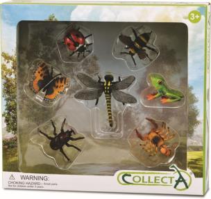 Opakowanie Zestaw 7 owadów w opakowaniu
