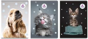 Zeszyt A4/60K kratka The sweet pets. Wydawca: Beniamin. Multiszop.pl Opakowanie Zeszyt A4/60K kratka The sweet pets
