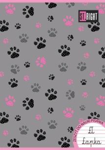 Opakowanie Zeszyt A4 w linie podwójną dwukolorową 32 kartki 15 sztuk