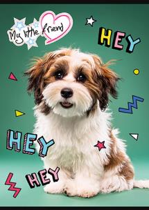 Opakowanie Zeszyt A5 16k 3-linia kolorowa MY LITTLE FRIEND mix 1szt.