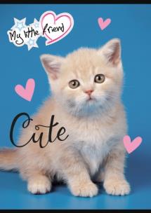 Opakowanie Zeszyt A5 32k 3-linia kolorowa my little friend mix pakiet 15 szt.