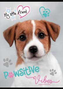 Opakowanie Zeszyt A5 32k kratka MY LITTLE FRIEND mix 1szt.