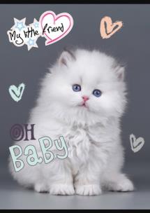 Opakowanie Zeszyt A5 32k kratka my little friend mix pakiet 15 szt.