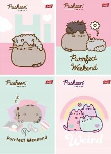 Opakowanie Zeszyt A5/32K linia dwukolorowa Pusheen (15szt)
