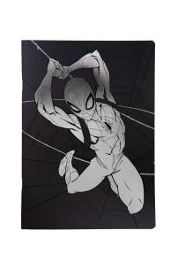 Opakowanie Zeszyt A5 60 k. linia Disney 100 wzór 2