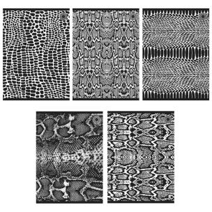 Opakowanie Zeszyt A5/80K kratka Snakes (5szt)