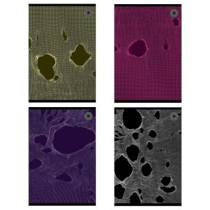 Opakowanie Zeszyt A5/80K kratka Tear (5szt)